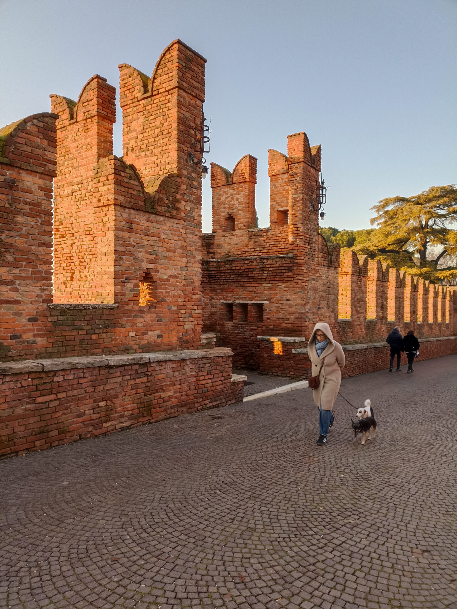 Poesia: “Questa notte ho sognato Verona”